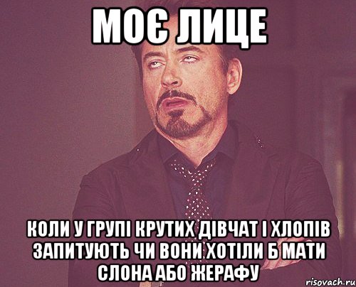 моє лице коли у групі крутих дівчат і хлопів запитують чи вони хотіли б мати слона або жерафу, Мем твое выражение лица