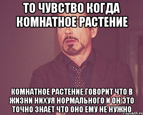 то чувство когда комнатное растение комнатное растение говорит что в жизни нихуя нормального и он это точно знает что оно ему не нужно, Мем твое выражение лица