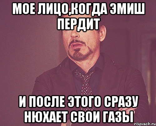 мое лицо,когда эмиш пердит и после этого сразу нюхает свои газы, Мем твое выражение лица