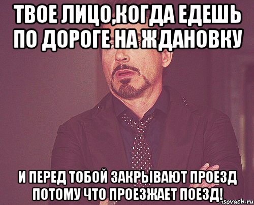 твое лицо,когда едешь по дороге на ждановку и перед тобой закрывают проезд потому что проезжает поезд!, Мем твое выражение лица