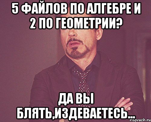 5 файлов по алгебре и 2 по геометрии? да вы блять,издеваетесь..., Мем твое выражение лица