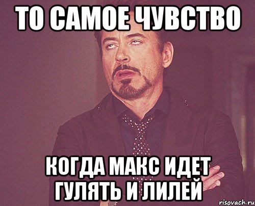 то самое чувство когда макс идет гулять и лилей, Мем твое выражение лица