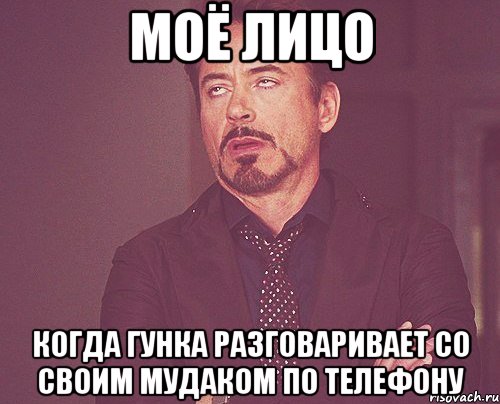 моё лицо когда гунка разговаривает со своим мудаком по телефону, Мем твое выражение лица