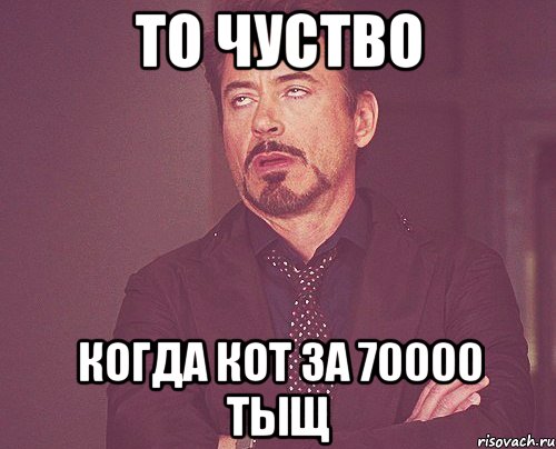 то чуство когда кот за 70000 тыщ, Мем твое выражение лица