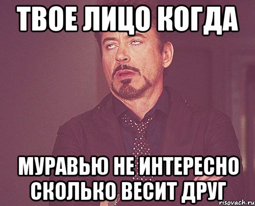 твое лицо когда муравью не интересно сколько весит друг, Мем твое выражение лица