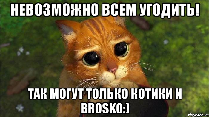 невозможно всем угодить! так могут только котики и brosko:)