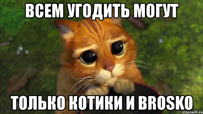 всем угодить могут только котики и brosko