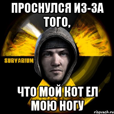 проснулся из-за того, что мой кот ел мою ногу, Мем Typical Scavenger