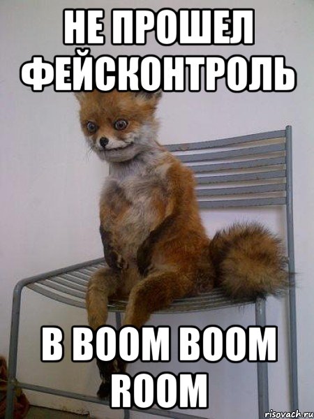 не прошел фейсконтроль в boom boom room, Мем Упоротая лиса