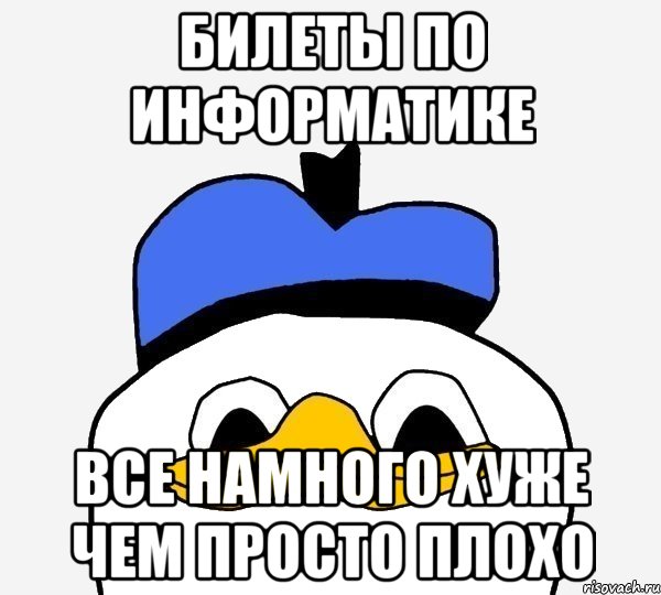 билеты по информатике все намного хуже чем просто плохо, Мем Утка