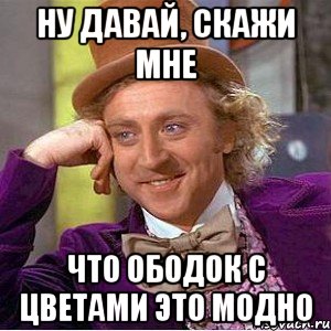 ну давай, скажи мне что ободок с цветами это модно, Мем Ну давай расскажи (Вилли Вонка)