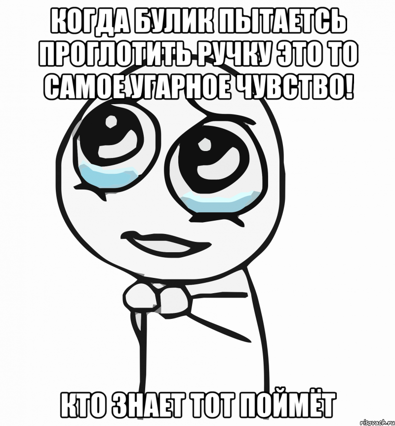 когда булик пытаетсь проглотить ручку это то самое угарное чувство! кто знает тот поймёт, Мем  ну пожалуйста (please)