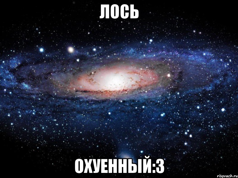 лось охуенный:з, Мем Вселенная