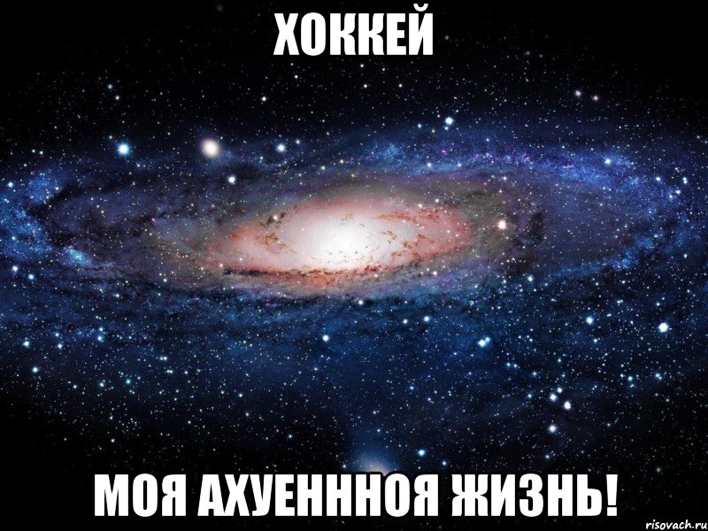 хоккей моя ахуеннноя жизнь!, Мем Вселенная