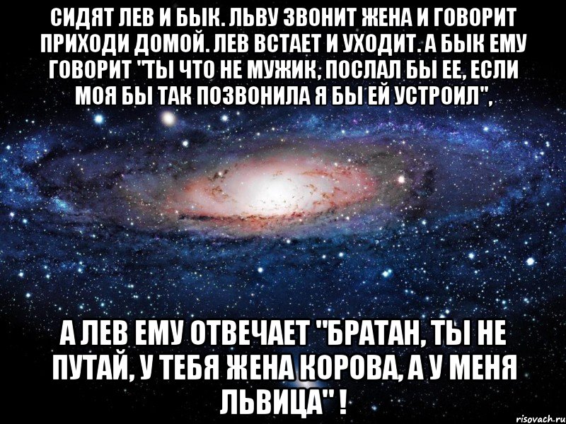 сидят лев и бык. льву звонит жена и говорит приходи домой. лев встает и уходит. а бык ему говорит "ты что не мужик, послал бы ее, если моя бы так позвонила я бы ей устроил", а лев ему отвечает "братан, ты не путай, у тебя жена корова, а у меня львица" !, Мем Вселенная