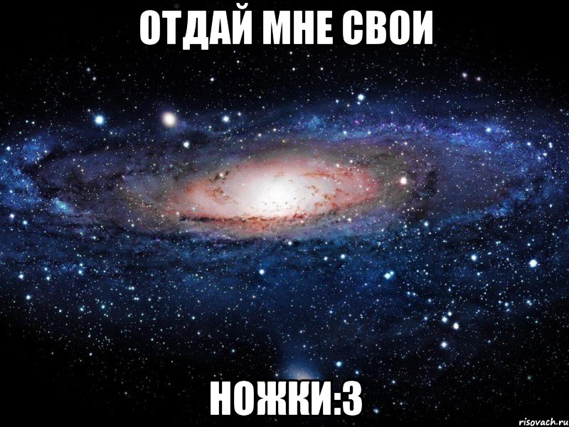 отдай мне свои ножки:3, Мем Вселенная