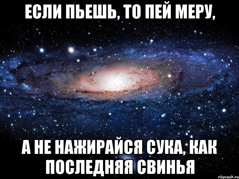 если пьешь, то пей меру, а не нажирайся сука, как последняя свинья, Мем Вселенная