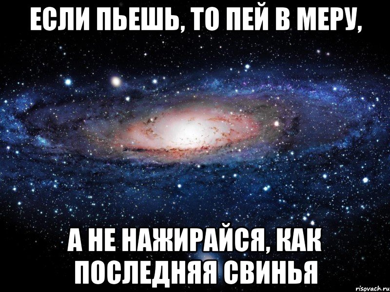 если пьешь, то пей в меру, а не нажирайся, как последняя свинья, Мем Вселенная