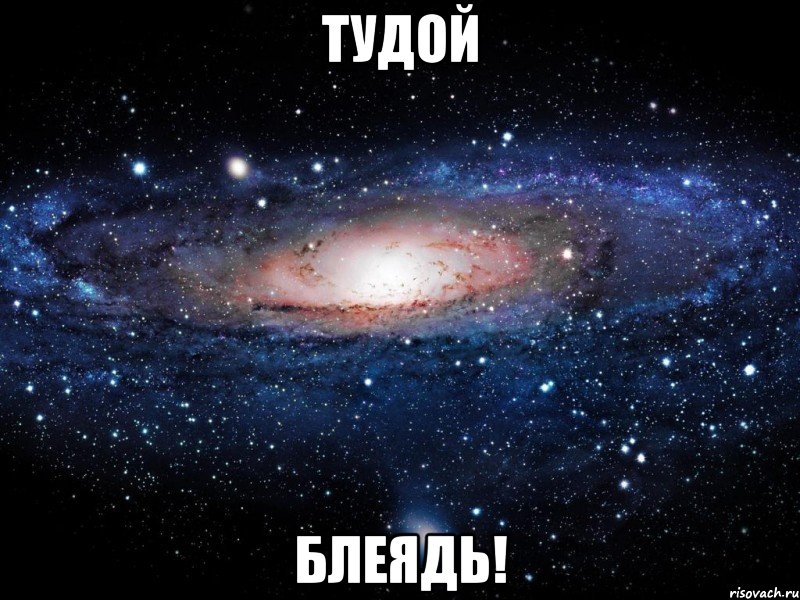 тудой блеядь!, Мем Вселенная