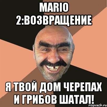 mario 2:возвращение я твой дом черепах и грибов шатал!, Мем Я твой дом труба шатал