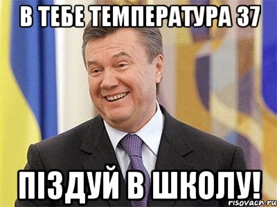 в тебе температура 37 піздуй в школу!, Мем Янукович