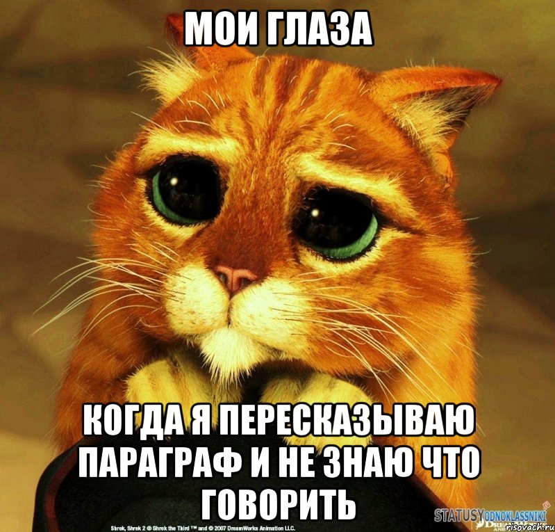 мои глаза когда я пересказываю параграф и не знаю что говорить, Мем Котик из Шрека