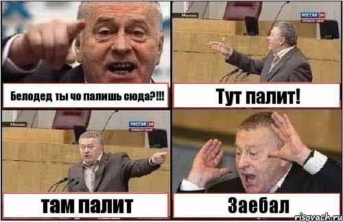 Белодед ты чо палишь сюда?!!! Тут палит! там палит Заебал, Комикс жиреновский