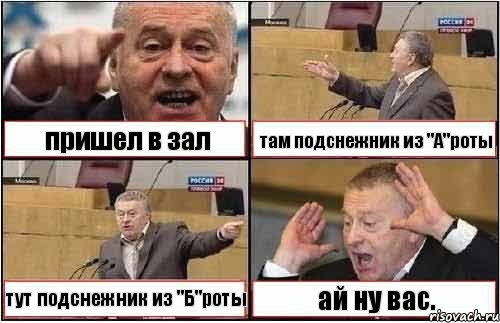 пришел в зал там подснежник из "А"роты тут подснежник из "Б"роты ай ну вас., Комикс жиреновский