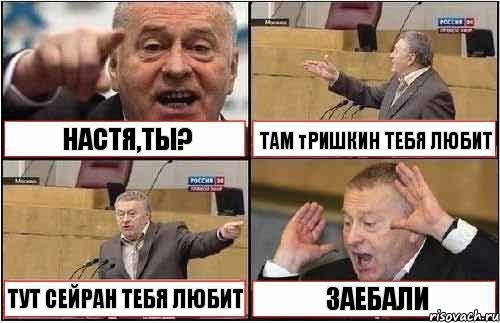 НАСТЯ,ТЫ? ТАМ тРИШКИН ТЕБЯ ЛЮБИТ ТУТ СЕЙРАН ТЕБЯ ЛЮБИТ ЗАЕБАЛИ, Комикс жиреновский