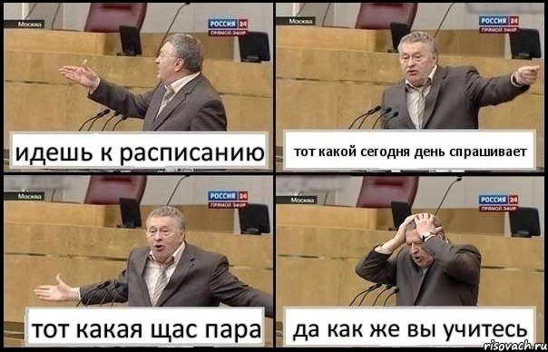 идешь к расписанию тот какой сегодня день спрашивает тот какая щас пара да как же вы учитесь, Комикс Жирик в шоке хватается за голову