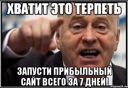 хватит это терпеть запусти прибыльный сайт всего за 7 дней!, Мем жириновский ты