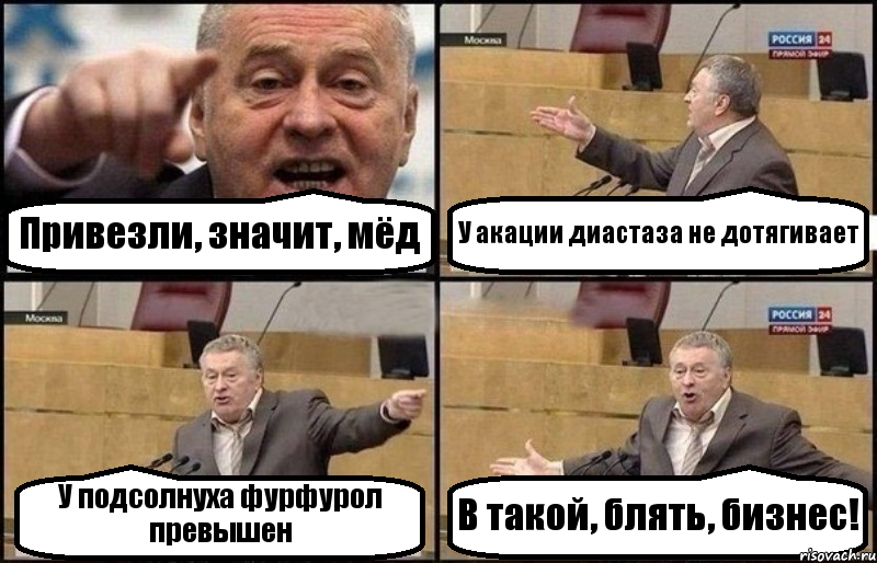 Привезли, значит, мёд У акации диастаза не дотягивает У подсолнуха фурфурол превышен В такой, блять, бизнес!, Комикс Жириновский