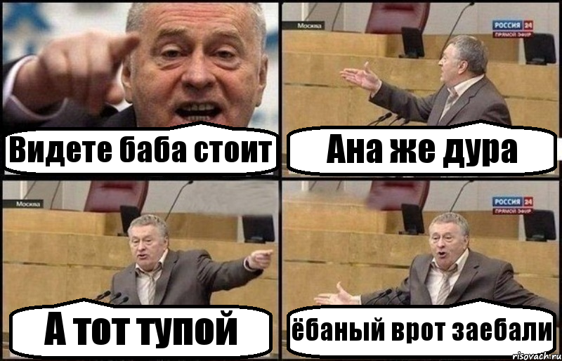 Видете баба стоит Ана же дура А тот тупой ёбаный врот заебали, Комикс Жириновский