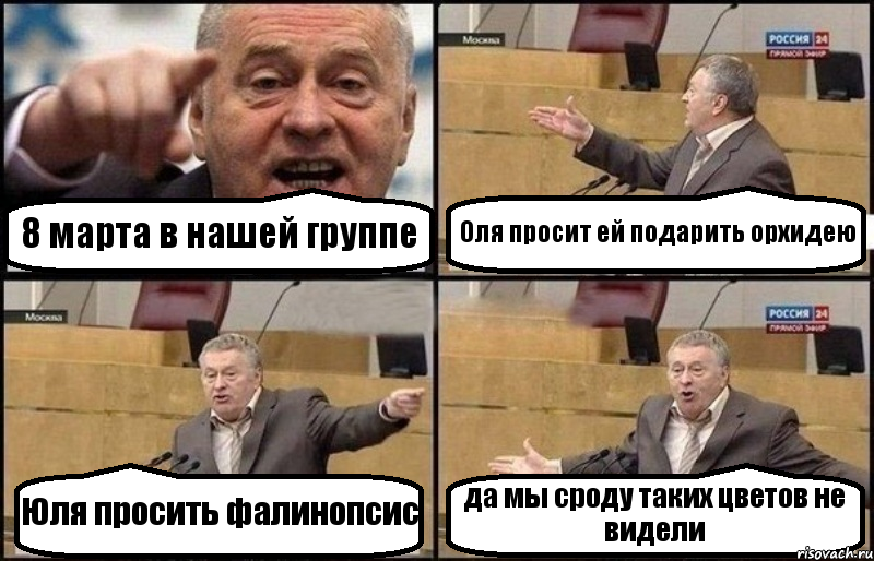 8 марта в нашей группе Оля просит ей подарить орхидею Юля просить фалинопсис да мы сроду таких цветов не видели, Комикс Жириновский