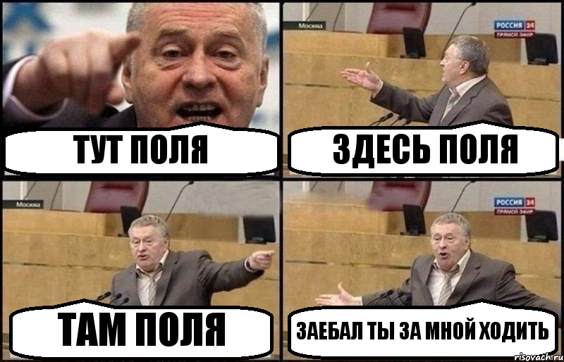 ТУТ ПОЛЯ ЗДЕСЬ ПОЛЯ ТАМ ПОЛЯ ЗАЕБАЛ ТЫ ЗА МНОЙ ХОДИТЬ, Комикс Жириновский