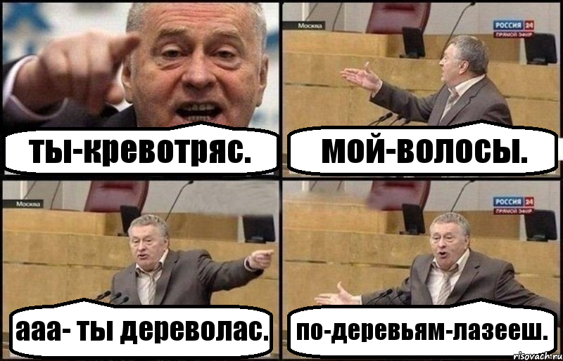 ты-кревотряс. мой-волосы. ааа- ты дереволас. по-деревьям-лазееш., Комикс Жириновский