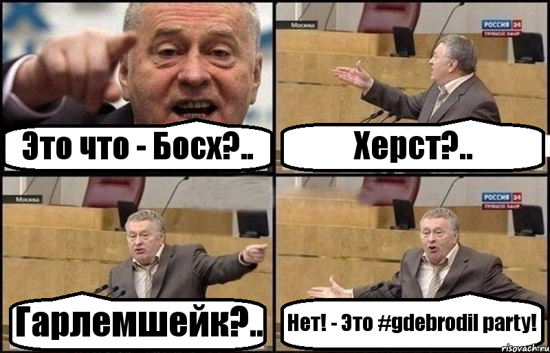 Это что - Босх?.. Херст?.. Гарлемшейк?.. Нет! - Это #gdebrodil party!, Комикс Жириновский