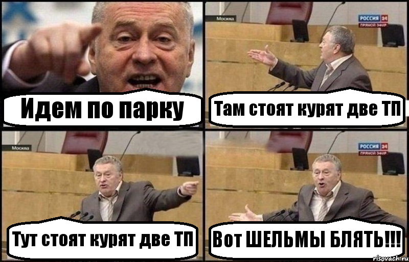 Идем по парку Там стоят курят две ТП Тут стоят курят две ТП Вот ШЕЛЬМЫ БЛЯТЬ!!!, Комикс Жириновский