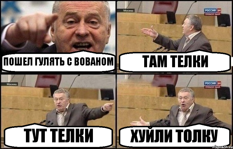 ПОШЕЛ ГУЛЯТЬ С ВОВАНОМ ТАМ ТЕЛКИ ТУТ ТЕЛКИ ХУЙЛИ ТОЛКУ, Комикс Жириновский