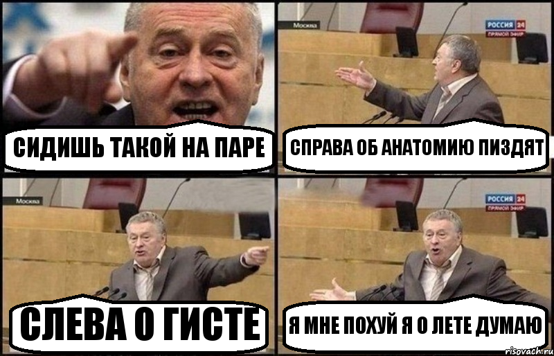 СИДИШЬ ТАКОЙ НА ПАРЕ СПРАВА ОБ АНАТОМИЮ ПИЗДЯТ СЛЕВА О ГИСТЕ Я МНЕ ПОХУЙ Я О ЛЕТЕ ДУМАЮ, Комикс Жириновский