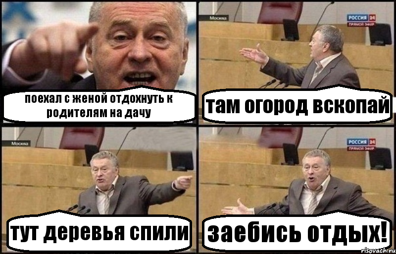 поехал с женой отдохнуть к родителям на дачу там огород вскопай тут деревья спили заебись отдых!, Комикс Жириновский