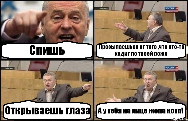 Спишь Просыпаешься от того ,что кто-то ходит по твоей роже Открываешь глаза А у тебя на лице жопа кота!, Комикс Жириновский