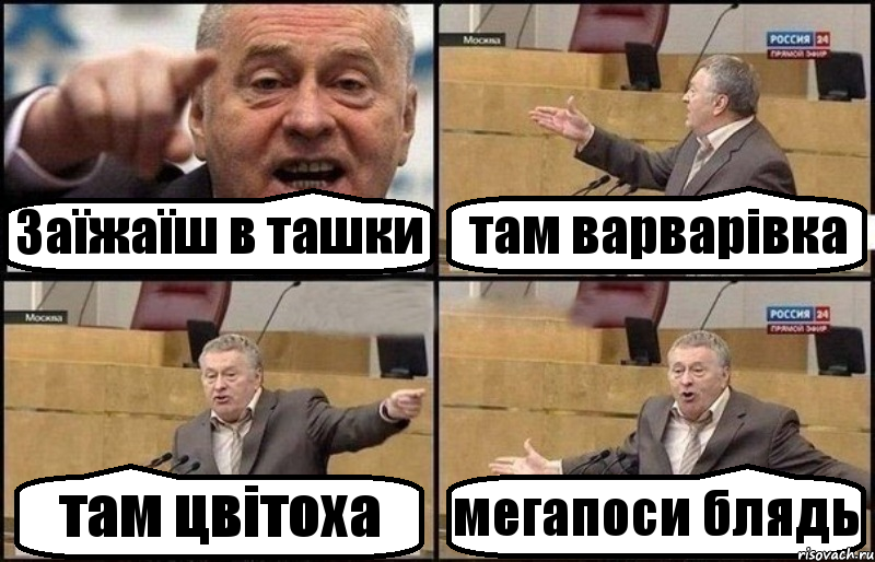 Заїжаїш в ташки там варварівка там цвітоха мегапоси блядь, Комикс Жириновский