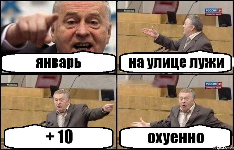 январь на улице лужи + 10 охуенно, Комикс Жириновский