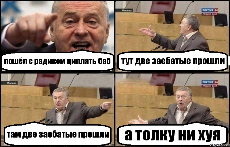 пошёл с радиком циплять баб тут две заебатые прошли там две заебатые прошли а толку ни хуя, Комикс Жириновский