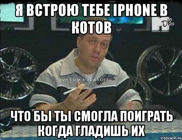 я встрою тебе iphone в котов что бы ты смогла поиграть когда гладишь их, Мем Монитор (тачка на прокачку)