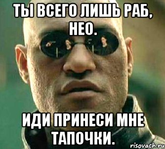 ты всего лишь раб, нео. иди принеси мне тапочки., Мем  а что если я скажу тебе