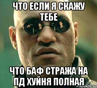 что если я скажу тебе что баф стража на пд хуйня полная, Мем  а что если я скажу тебе