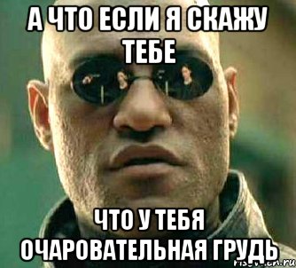 а что если я скажу тебе что у тебя очаровательная грудь, Мем  а что если я скажу тебе