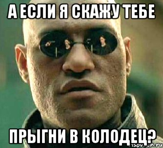 а если я скажу тебе прыгни в колодец?, Мем  а что если я скажу тебе